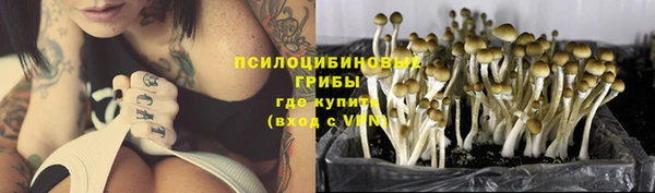 метамфетамин Белокуриха