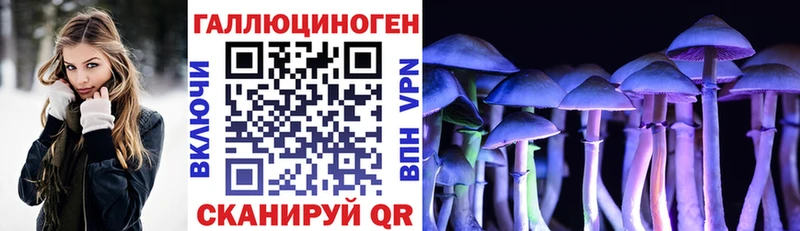 Галлюциногенные грибы Psilocybine cubensis  OMG ONION  Назарово 